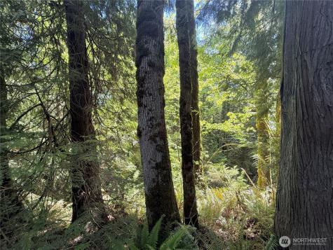 1356 SE Carl Pickel Drive Port Orchard WA 98366