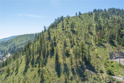 4340 Sunnybank Drive Chelan WA 98816