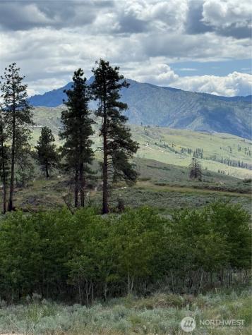 3 Ruttin Ridge Road Methow WA 98834