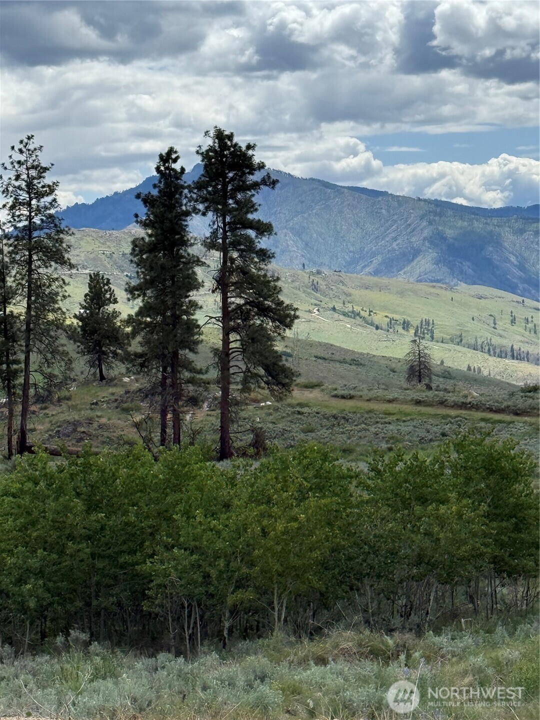 3 Ruttin Ridge Road Methow WA 98834