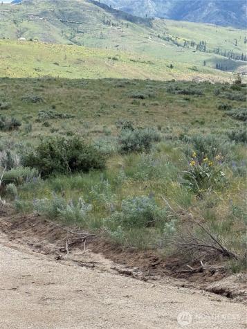 3 Ruttin Ridge Road Methow WA 98834
