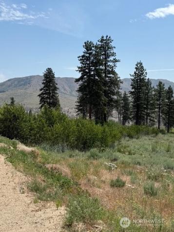3 Ruttin Ridge Road Methow WA 98834
