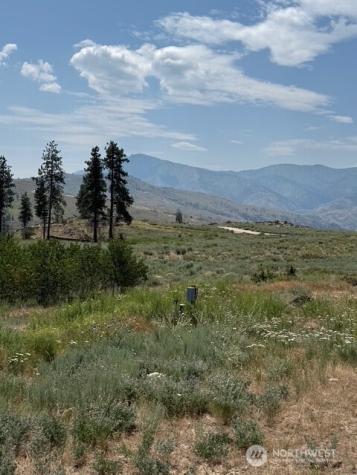 3 Ruttin Ridge Road Methow WA 98834