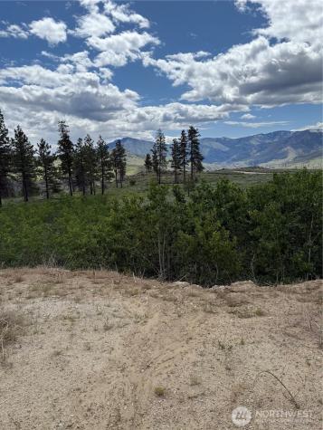 3 Ruttin Ridge Road Methow WA 98834