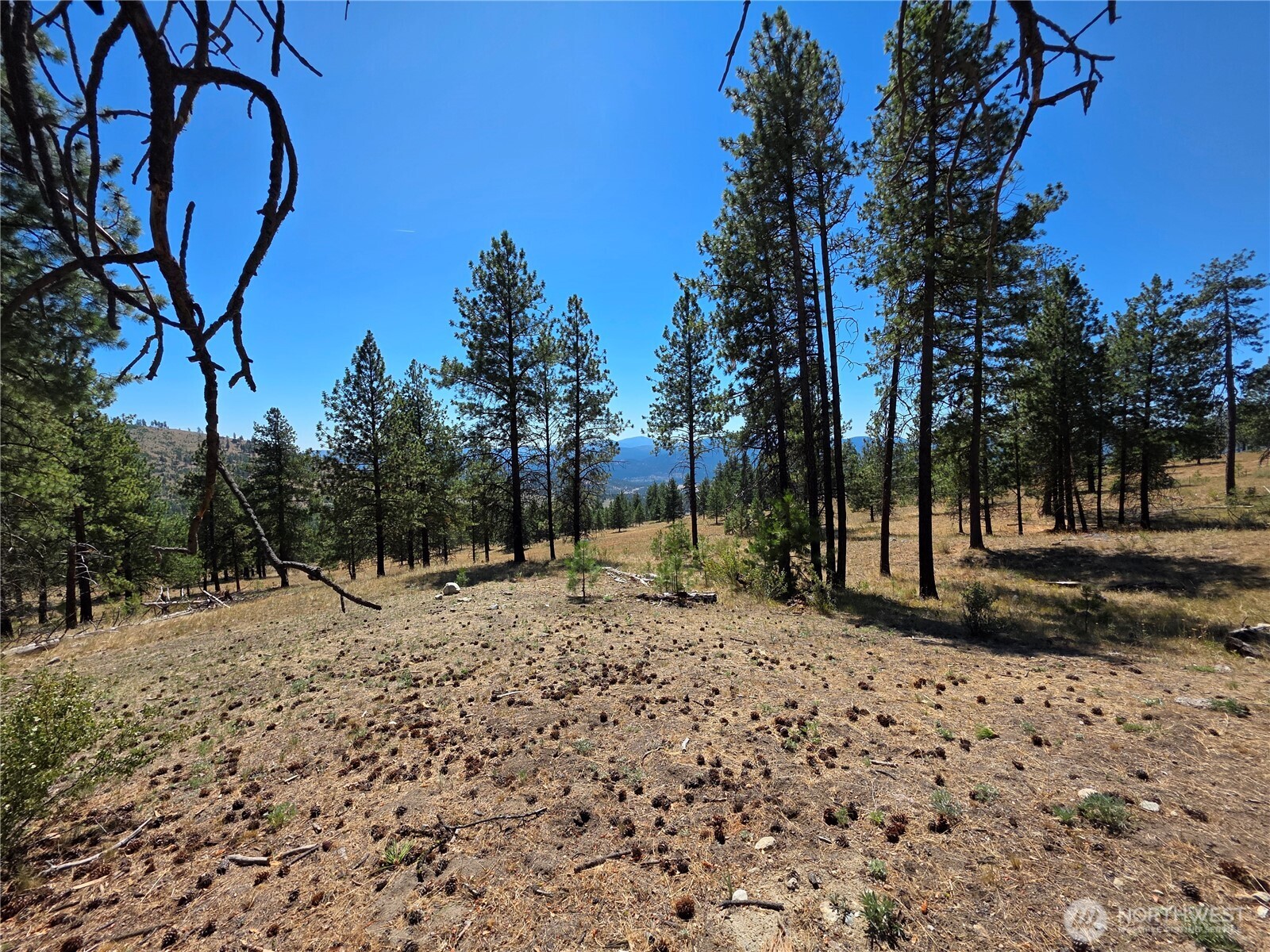 147 High Country Road Tonasket WA 98855