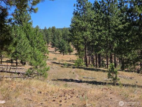 147 High Country Road Tonasket WA 98855