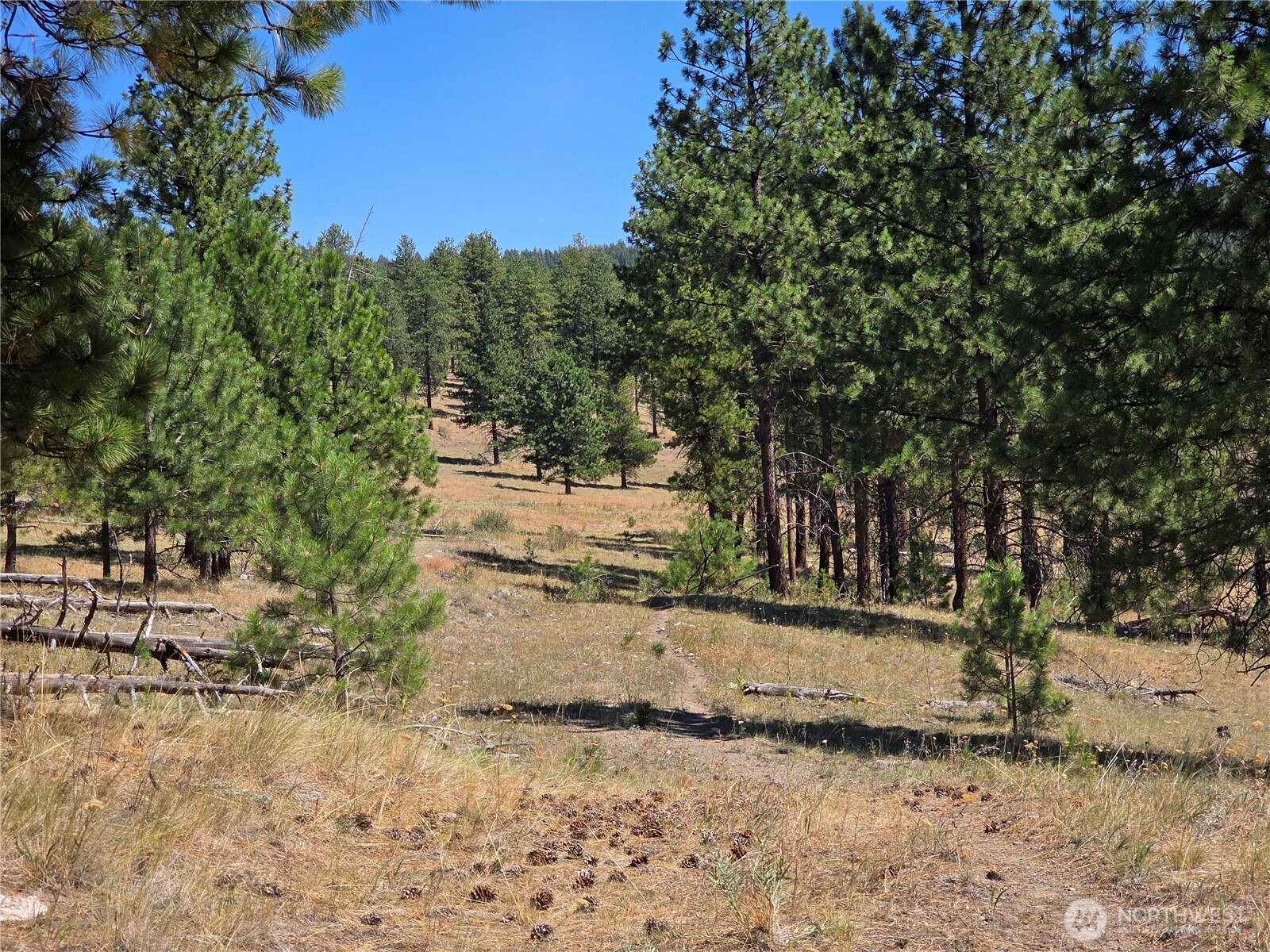 147 High Country Road Tonasket WA 98855