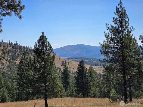 147 High Country Road Tonasket WA 98855