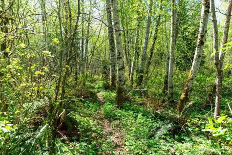 0 Mountain View Boulevard SE North Bend WA 98045