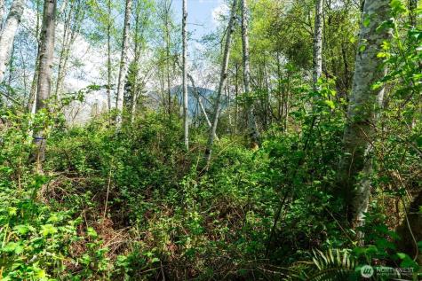0 Mountain View Boulevard SE North Bend WA 98045