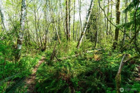 0 Mountain View Boulevard SE North Bend WA 98045