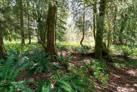 0 Mountain View Boulevard SE North Bend WA 98045