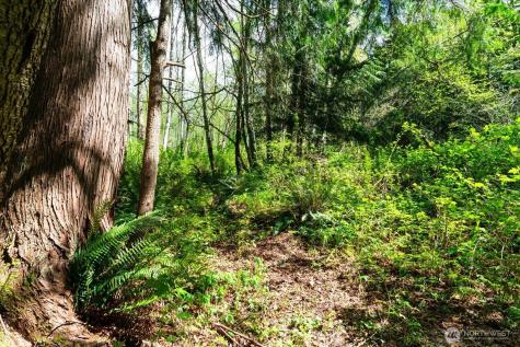 0 Mountain View Boulevard SE North Bend WA 98045