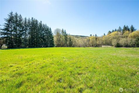 100 Magpie Drive Castle Rock WA 98611