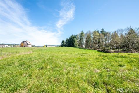 100 Magpie Drive Castle Rock WA 98611