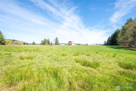 100 Magpie Drive Castle Rock WA 98611