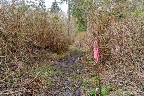 0 Polnell Road Oak Harbor WA 98277