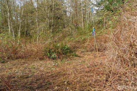 0 Polnell Road Oak Harbor WA 98277