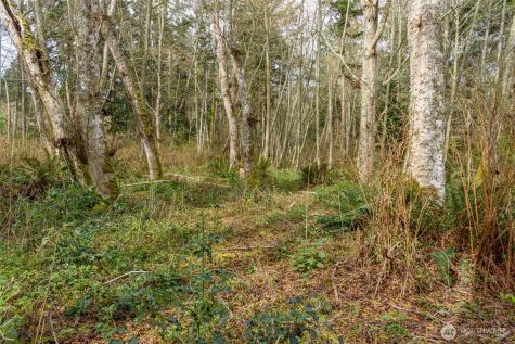 0 Polnell Road Oak Harbor WA 98277