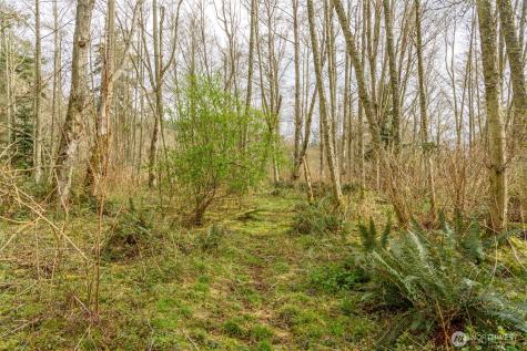0 Polnell Road Oak Harbor WA 98277