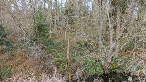 0 Polnell Road Oak Harbor WA 98277