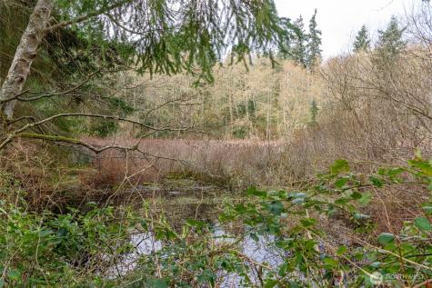 0 Polnell Road Oak Harbor WA 98277