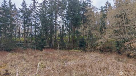 0 Polnell Road Oak Harbor WA 98277