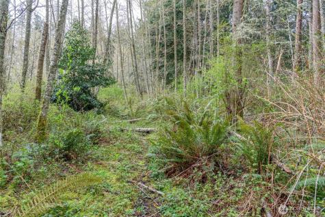 0 Polnell Road Oak Harbor WA 98277
