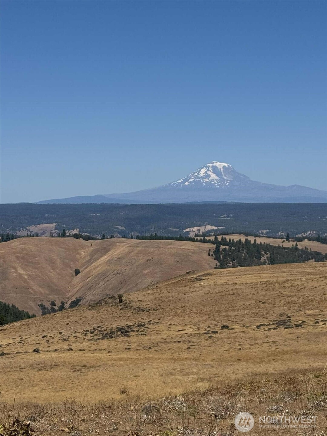 0 Parcel #03140400000200 White Salmon WA 98672
