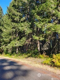 10511 130th Avenue Anderson Island WA 98303