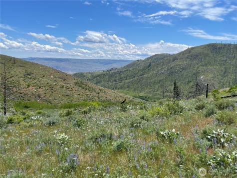 436 Antoine Creek Road Chelan WA 98816