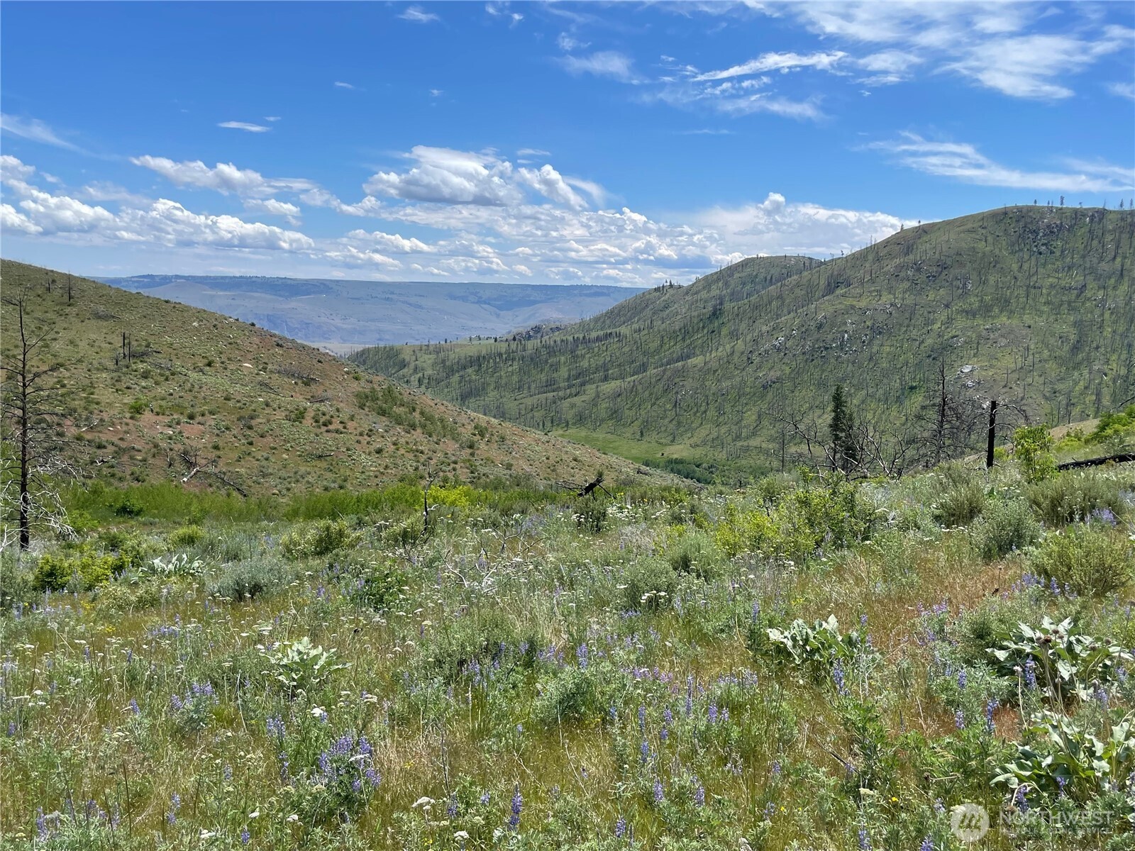 436 Antoine Creek Road Chelan WA 98816