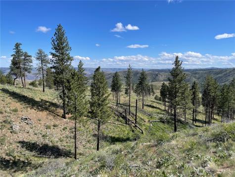 436 Antoine Creek Road Chelan WA 98816
