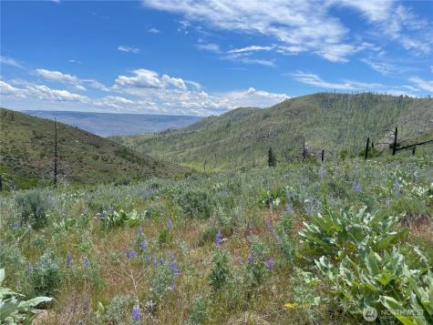 436 Antoine Creek Road Chelan WA 98816