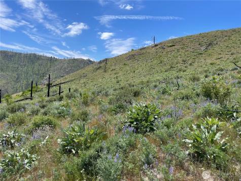 436 Antoine Creek Road Chelan WA 98816