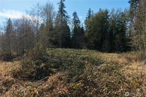2200 Bethel Avenue Port Orchard WA 98366