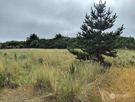 863 Ocean Shores Boulevard NW Ocean Shores WA 98569