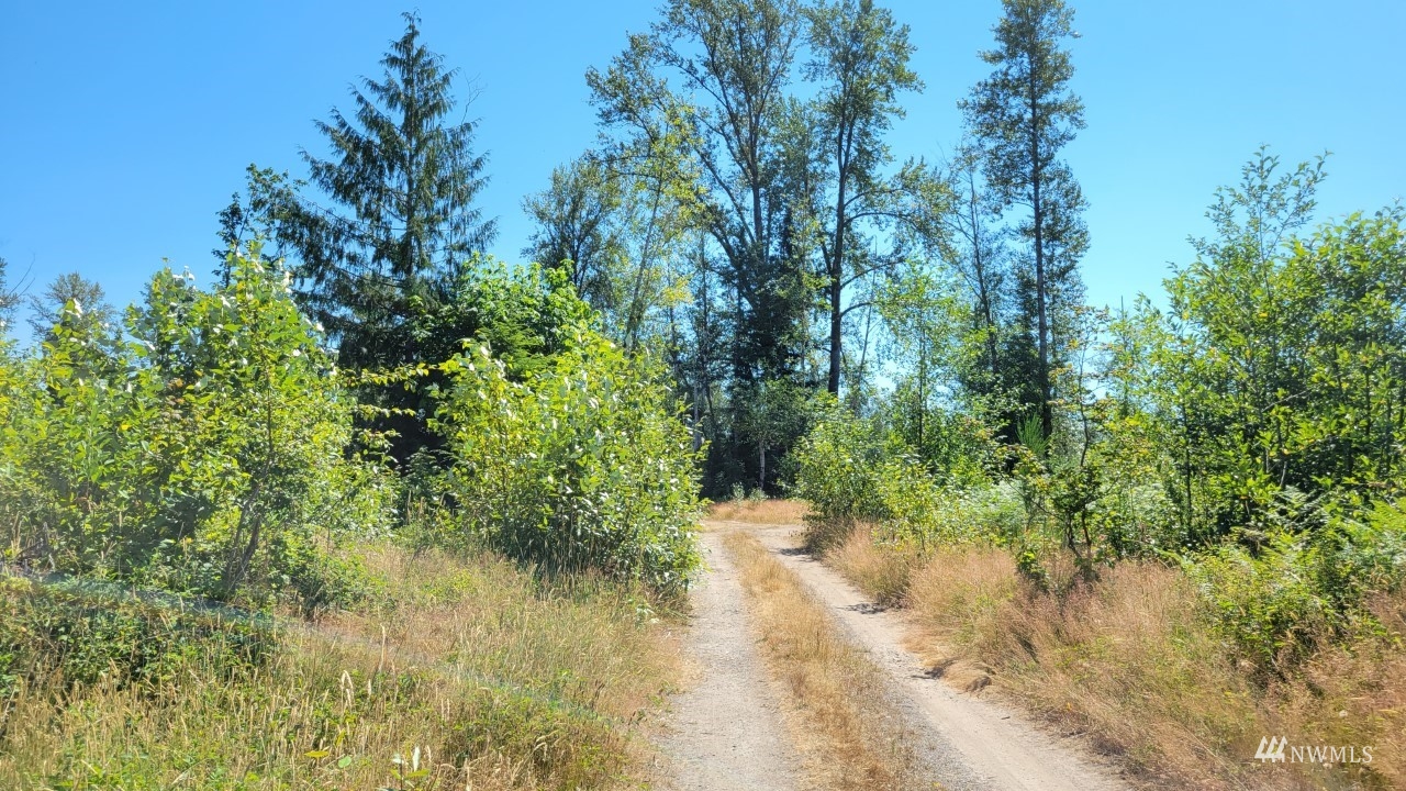 0 Spirit Lake Highway Toutle WA 98649