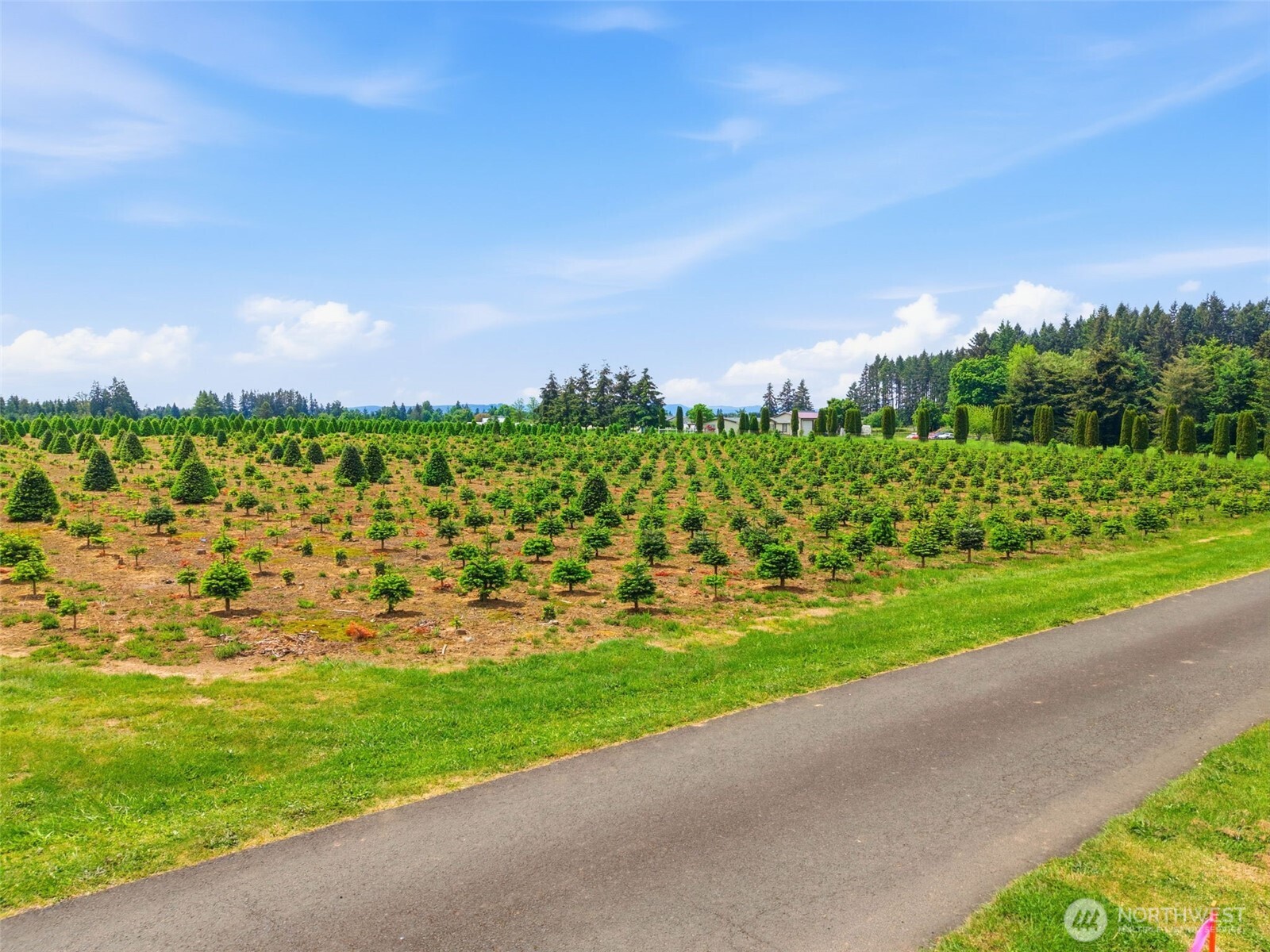 2 Shiloh Road Winlock WA 98596