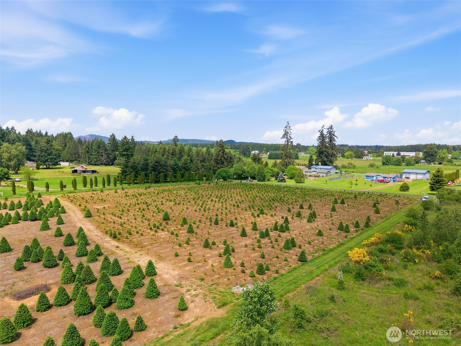 2 Shiloh Road Winlock WA 98596