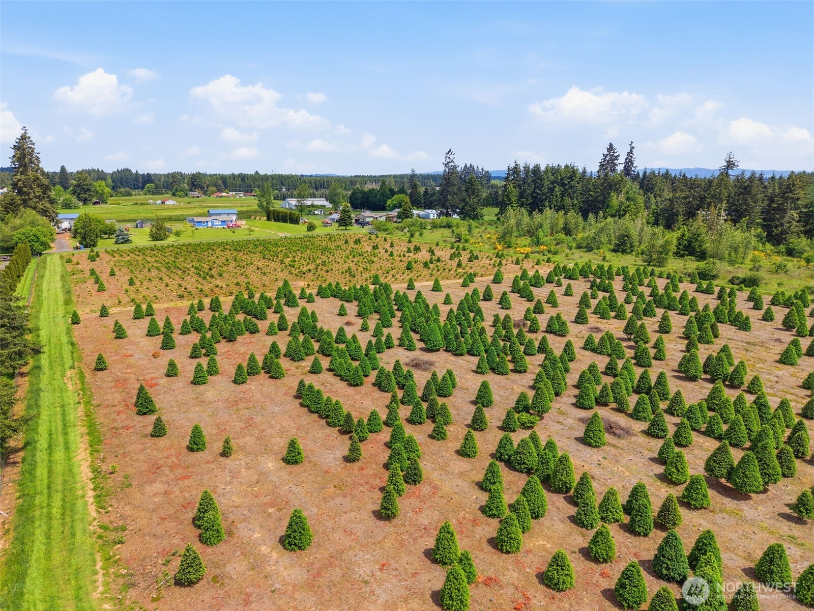 2 Shiloh Road Winlock WA 98596