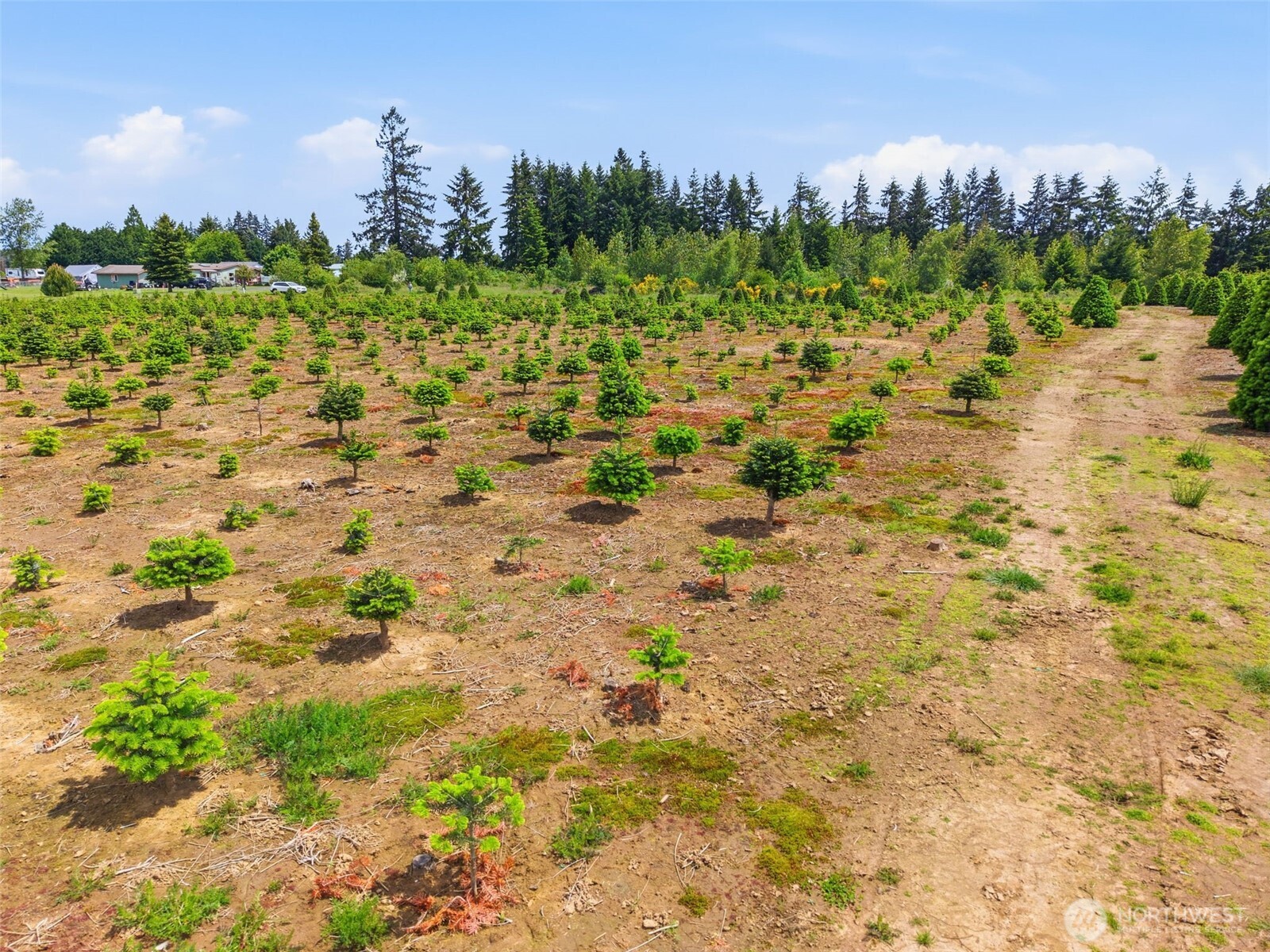 2 Shiloh Road Winlock WA 98596