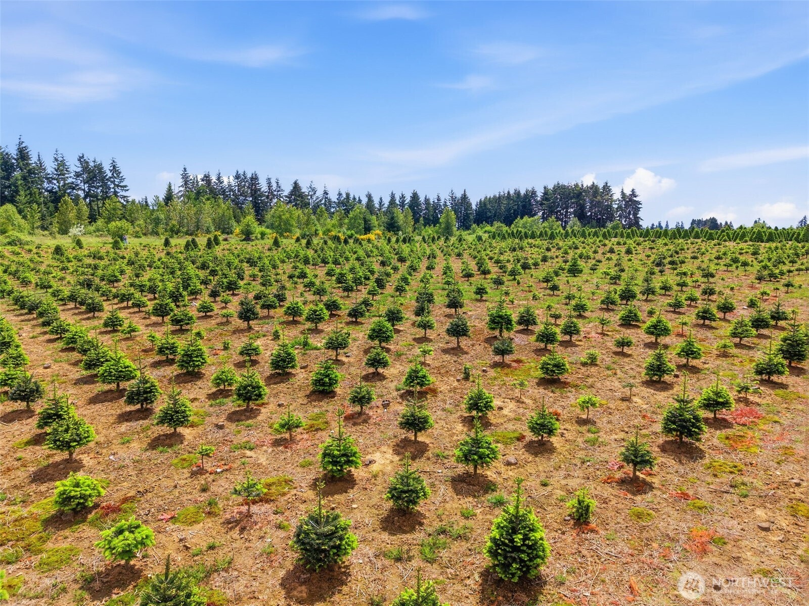 2 Shiloh Road Winlock WA 98596