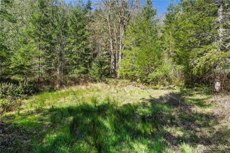 38636 Eatonville Cut Off Road E Eatonville WA 98328