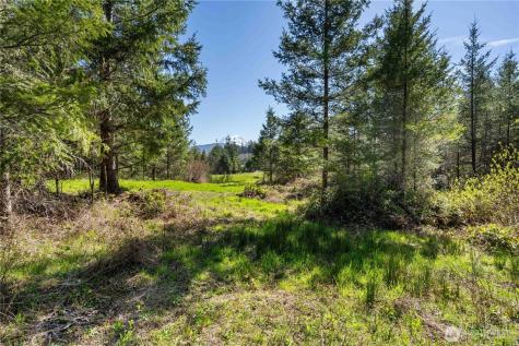 38636 Eatonville Cut Off Road E Eatonville WA 98328