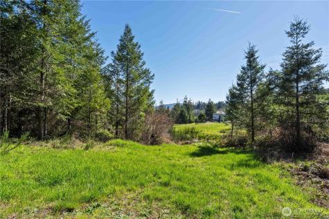 38636 Eatonville Cut Off Road E Eatonville WA 98328