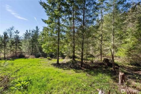 38636 Eatonville Cut Off Road E Eatonville WA 98328