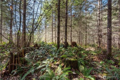 38636 Eatonville Cut Off Road E Eatonville WA 98328