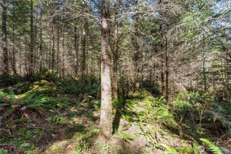 38636 Eatonville Cut Off Road E Eatonville WA 98328