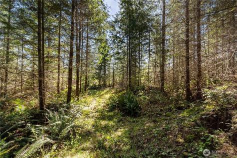 38636 Eatonville Cut Off Road E Eatonville WA 98328